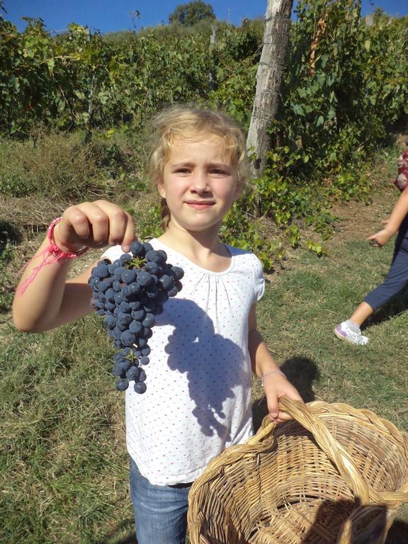 Fattoria Di Castiglionchio Villa Rosano  Eksteriør billede