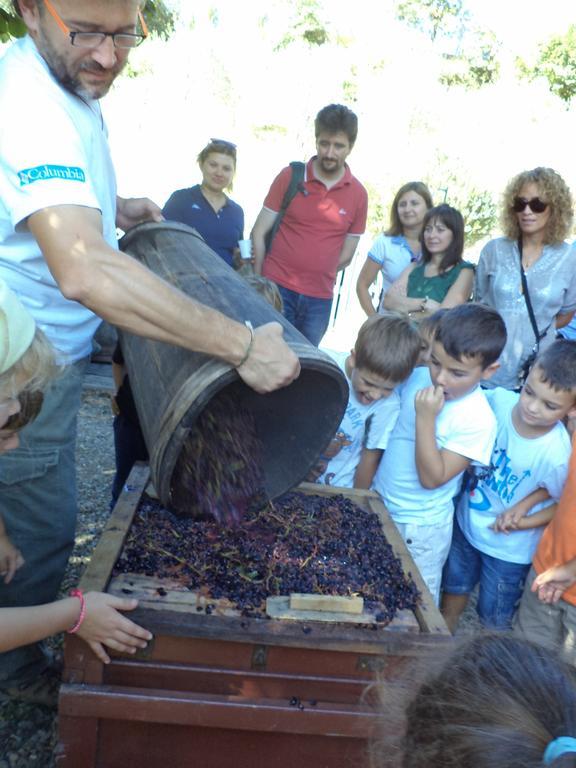 Fattoria Di Castiglionchio Villa Rosano  Eksteriør billede