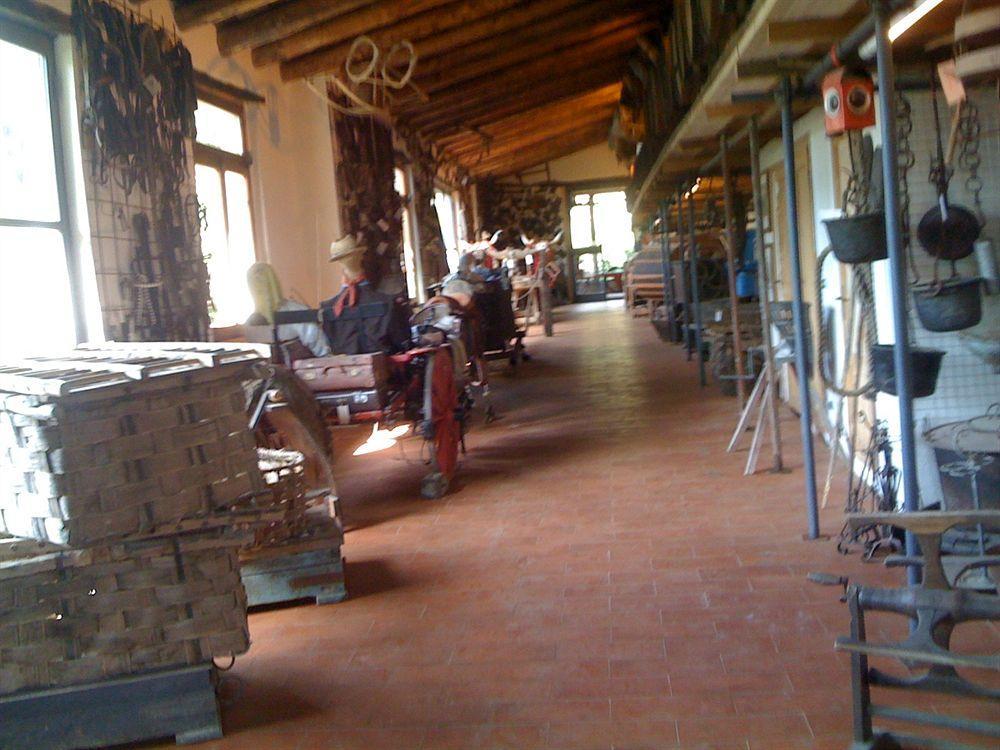 Fattoria Di Castiglionchio Villa Rosano  Eksteriør billede